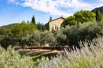 La Bastide de Moustiers - Moustiers-Sainte-Marie - Ducasse Hospitalité - Bastide