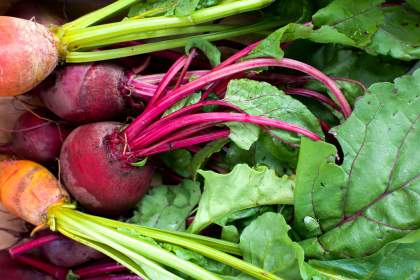 The Bastide de Moustiers - Moustiers-Sainte-Marie - Ducasse Hospitalité - Vegetables