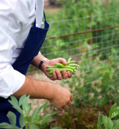 La Bastide de Moustiers - Moustiers-Sainte-Marie - Ducasse Hospitalité - Chef Adrien De Crignis